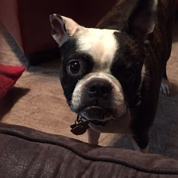 Meet your Posher, Andrea - Picture 1 of 1